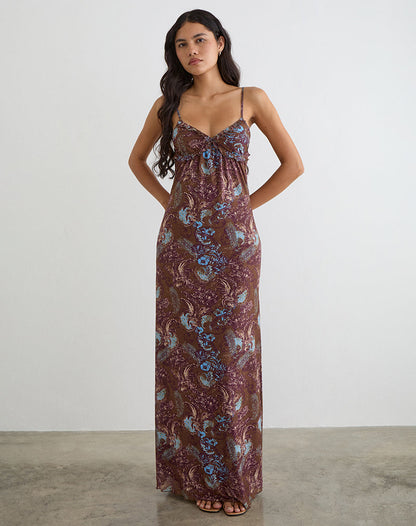 Alnaka Maxi Dress in Feathery Paisley Brown