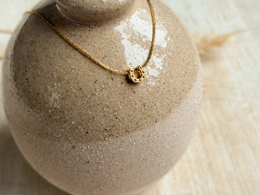 Agaveh Girl -Prairie Necklace