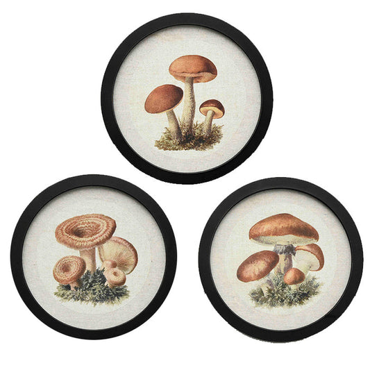 Assorted Mushroom Decor