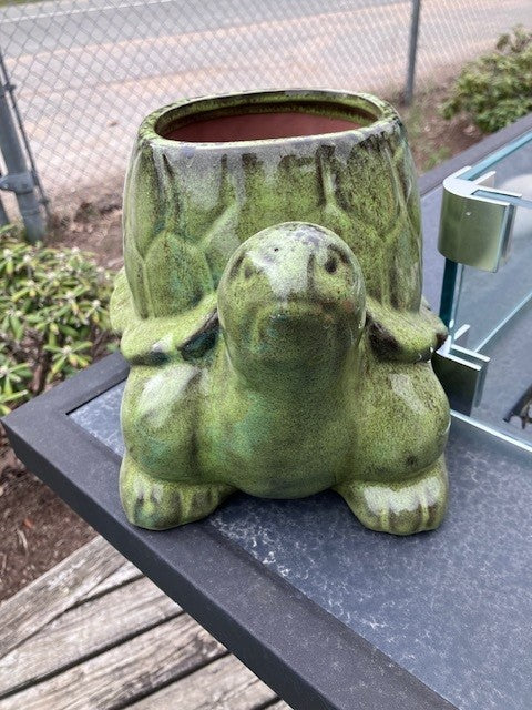 Ceramic Turtle Planter