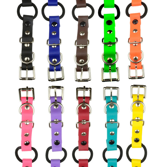 E-Collar Technologies 33" Biothane Collar with Buckle and Bungee