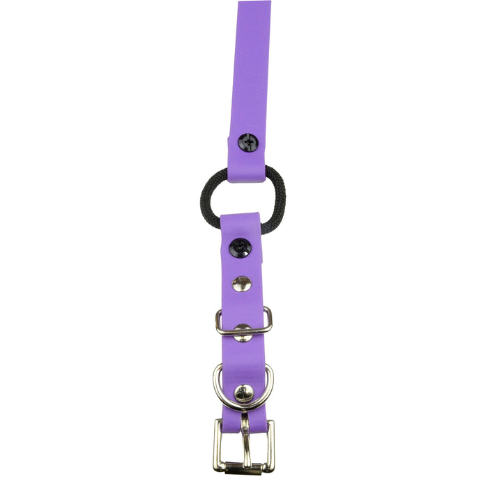3/4" / Purple Strap