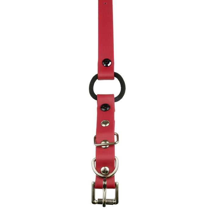 3/4" / Red Strap