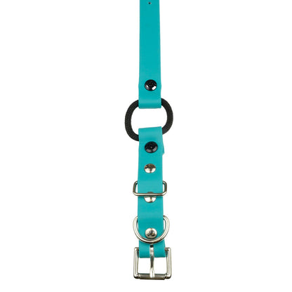 3/4" / Teal Strap
