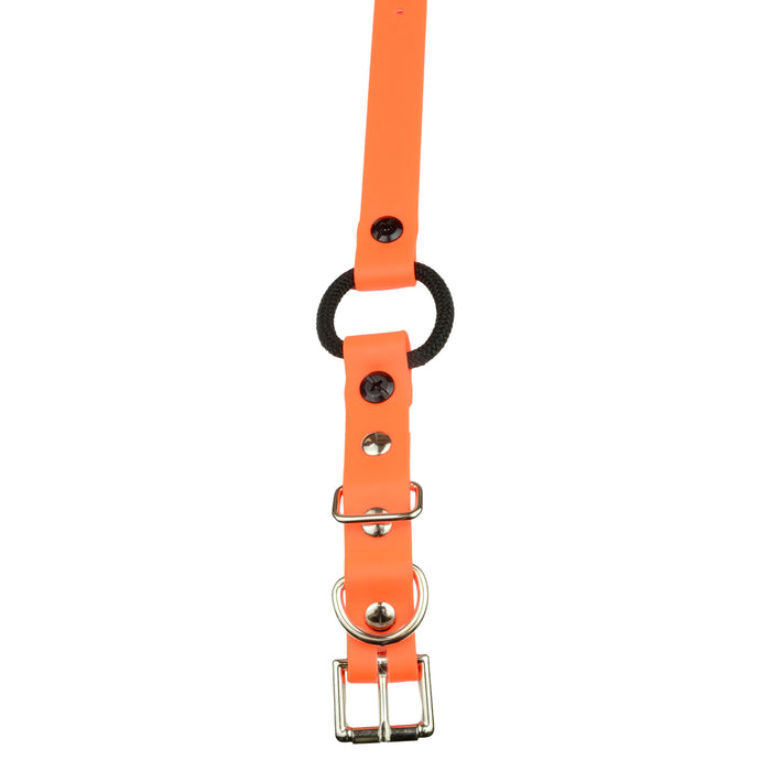 3/4" / Orange Strap