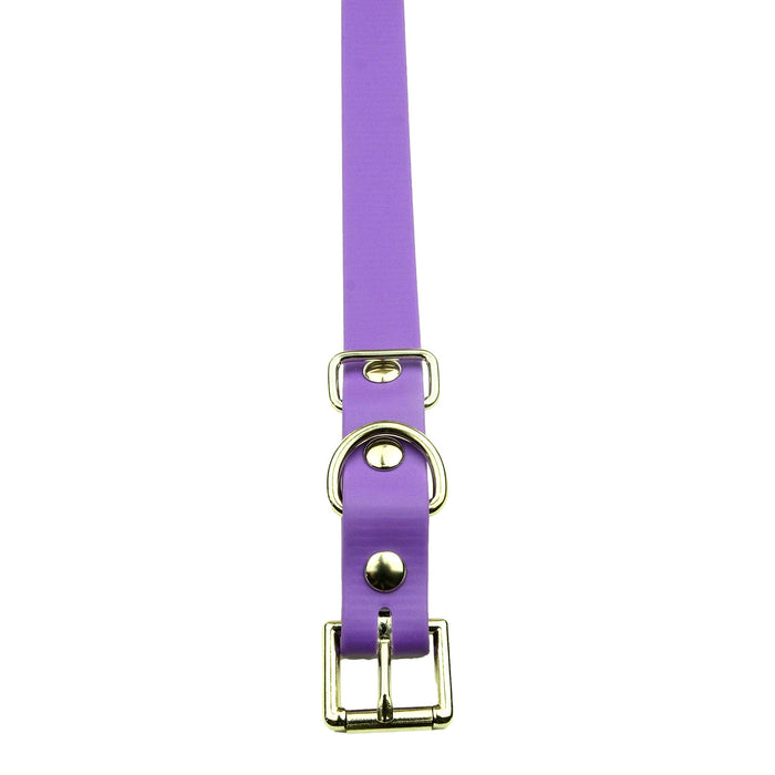 3/4" / Purple Strap