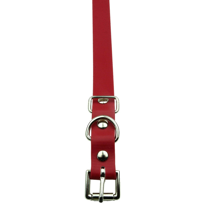 3/4" / Red Strap