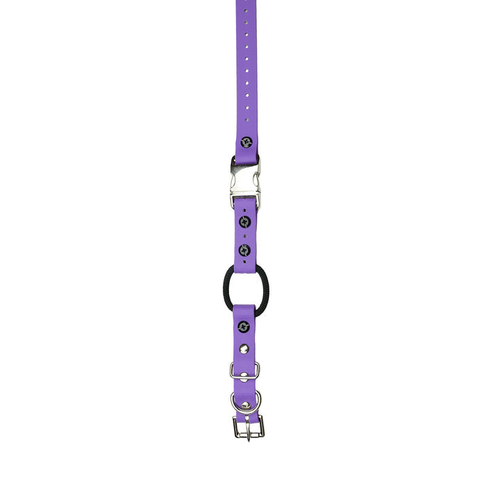 3/4" / Purple Strap