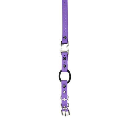 3/4" / Purple Strap