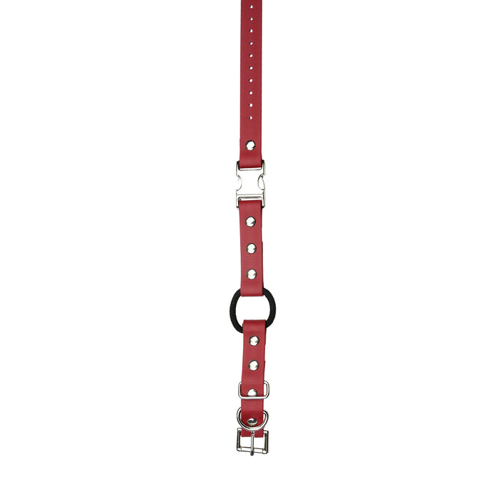 3/4" / Red Strap