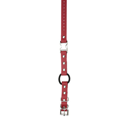 3/4" / Red Strap
