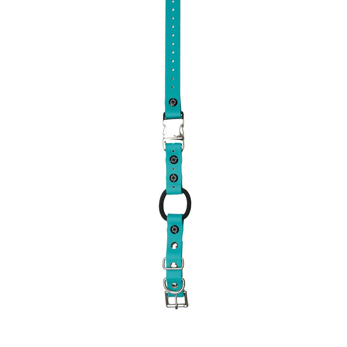 3/4" / Teal Strap
