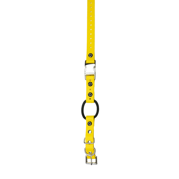 3/4" / Yellow Strap