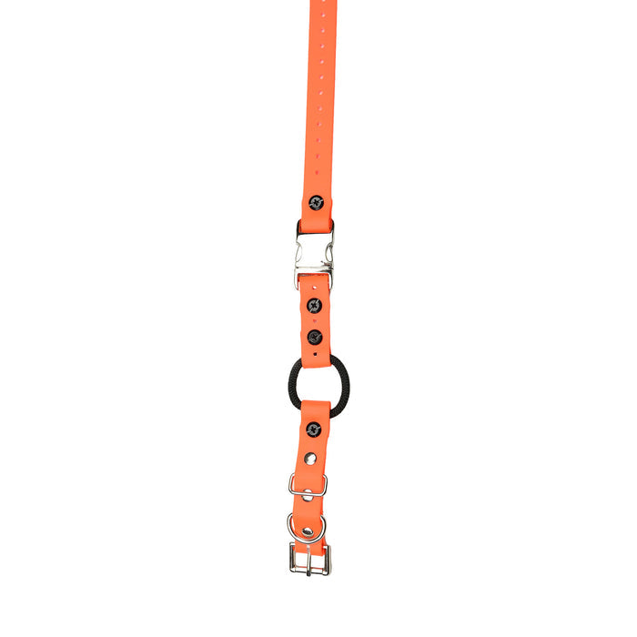 3/4" / Orange Strap