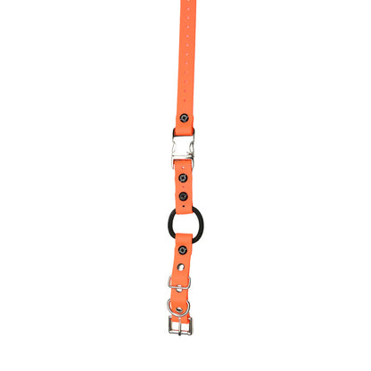 3/4" / Orange Strap