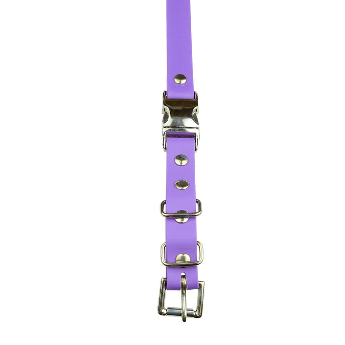 3/4" / Purple Strap