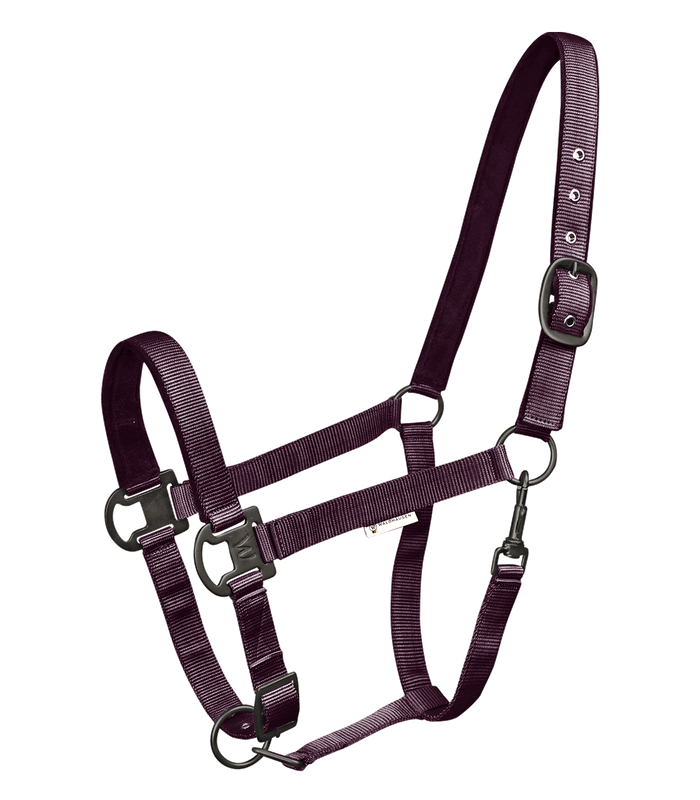 Gloomy Halter