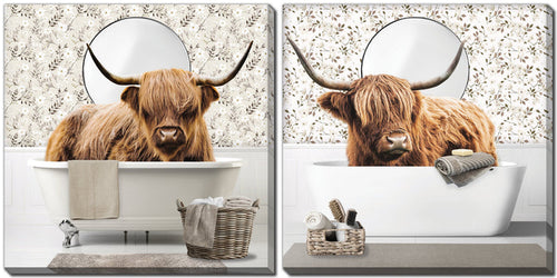 Highland Bath Cows 16 X 16