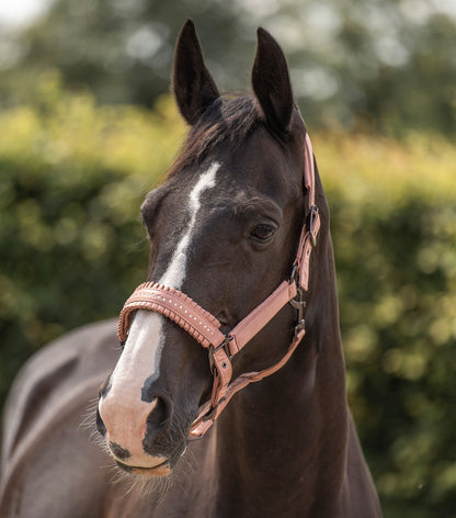 Halter Rosy - Full
