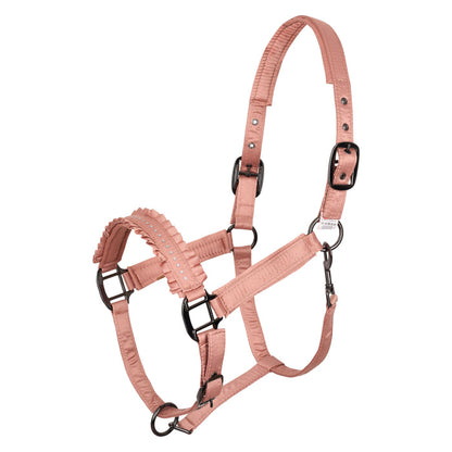 Halter Rosy - Cob