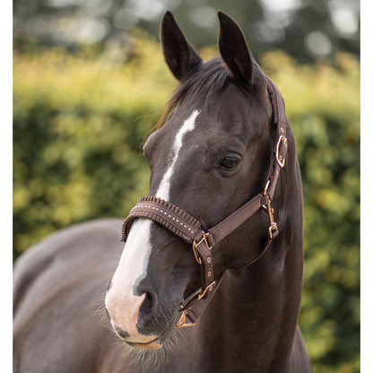 Halter Brown - Full