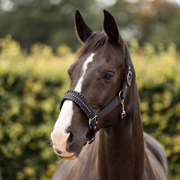 Halter Black - Full