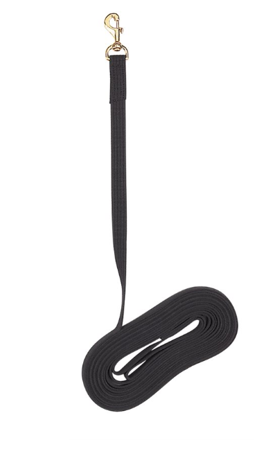 Lunge Line