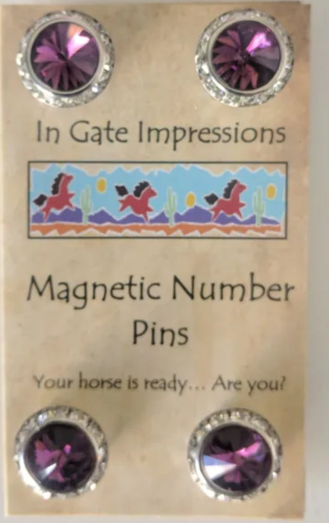 Magnetic Number Pins