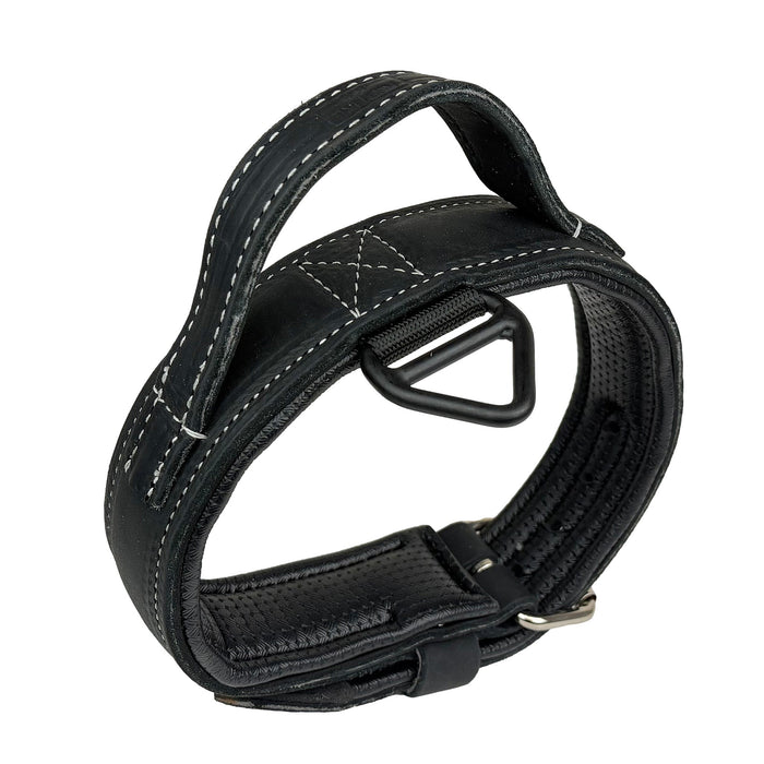Padded Ultra Leather Agitation Collar