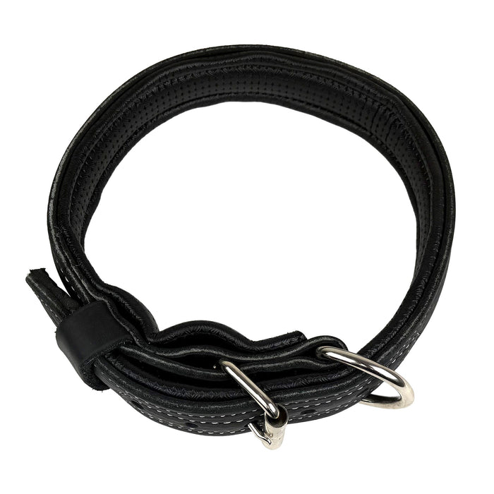 Padded Ultra Leather Collar