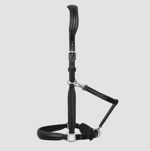 Passier Leather Halter
