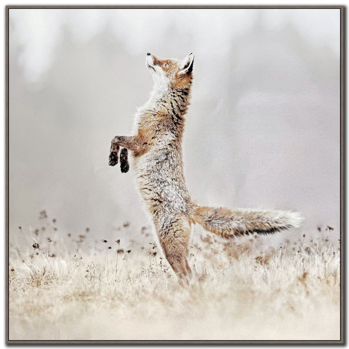 Playful Hunter (Standing Fox)