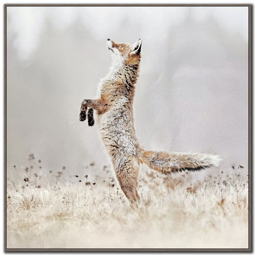 Playful Hunter (Standing Fox)