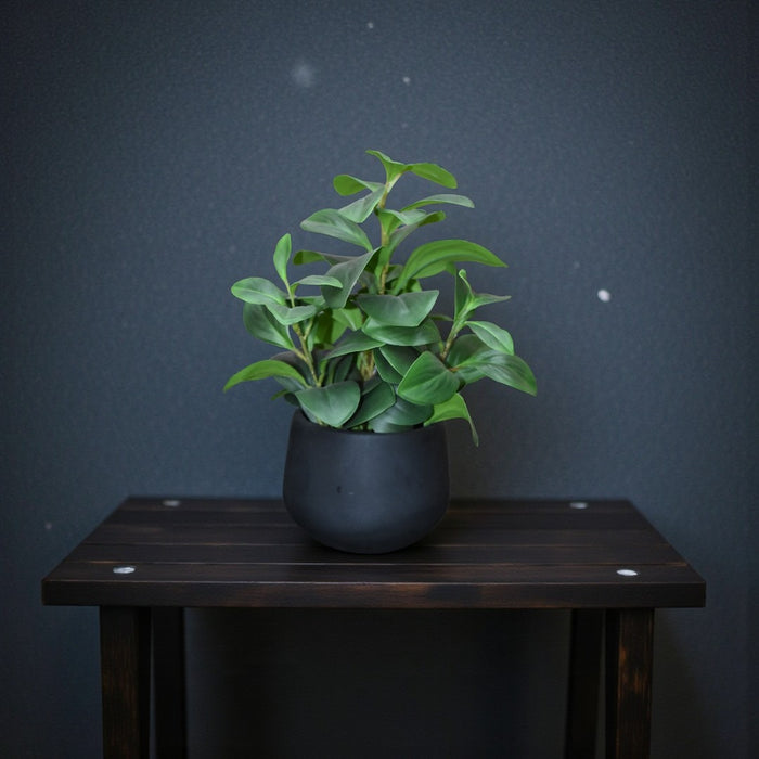 Samaa Table Planter