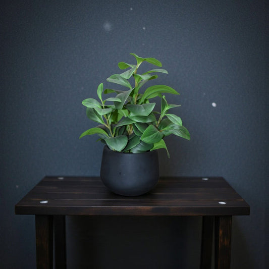 Samaa Table Planter