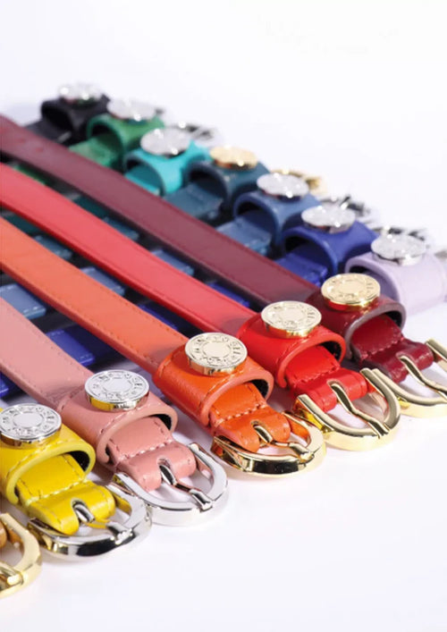 Vogel Rainbow Bracelet